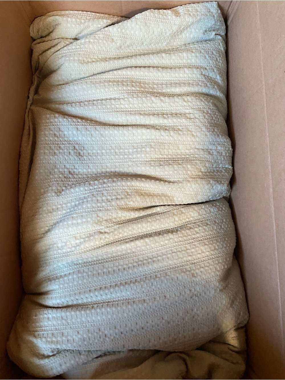 Soft Textured green comforter set king